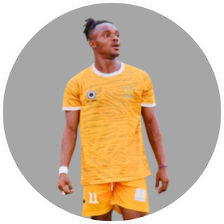 1 ALEX ALUMIDE